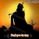 Meerai Krishna Mantra Sangrah - R sanju Song Download